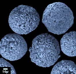 spray dried Mo powder