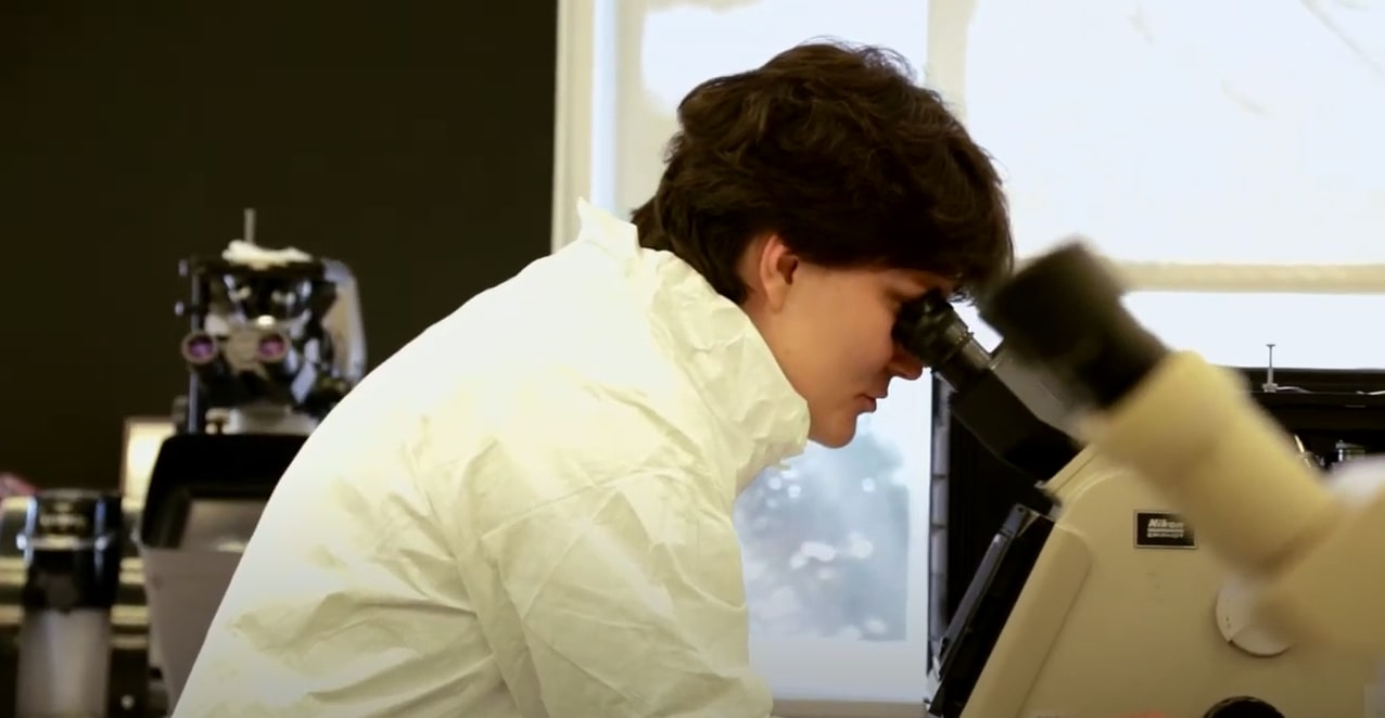 Scientist looking through microscope