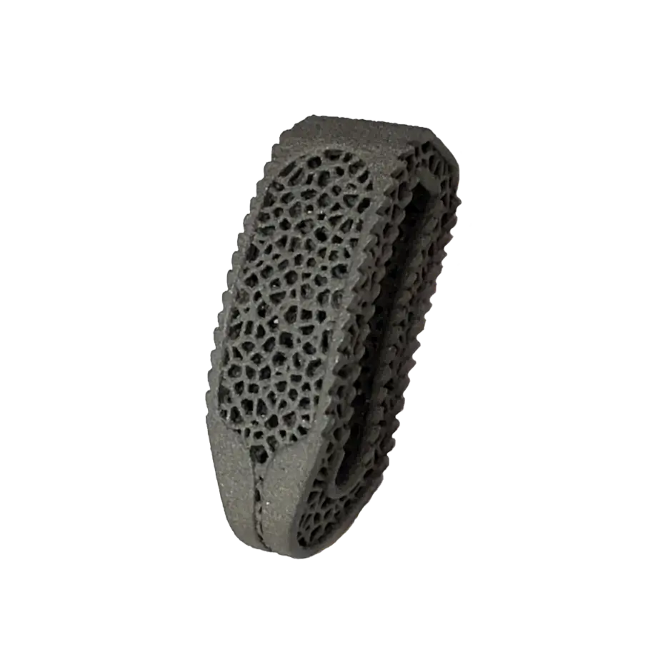 Titanium-Zirconium-Molybdenum Powder Spinal Implant